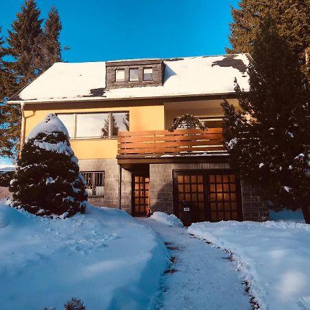 Ferienwohnung Trommler Курорт Обервизенталь Экстерьер фото